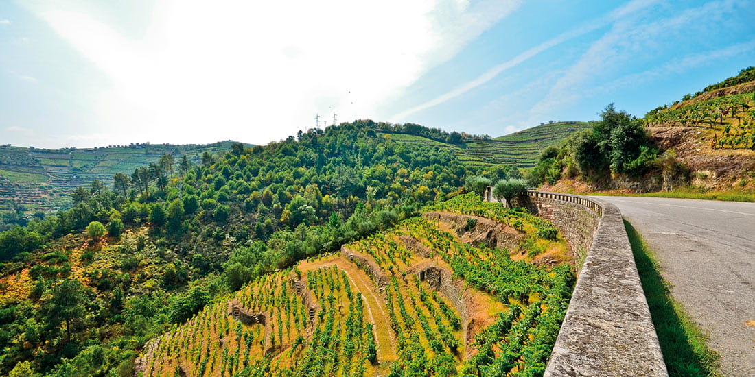 The road through the Douro Valley to Peso da Regua